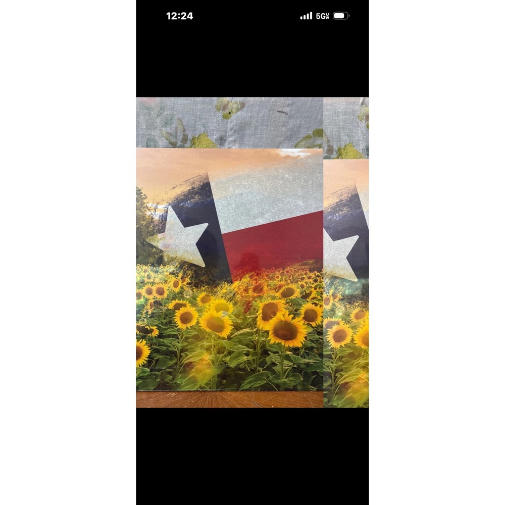 Texas Essentials Lonestar Collection Sunflower Texas Flag Wall Art WD-111 16x18
